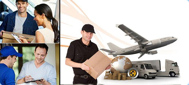 How To Find A Reputed International Courier Company?