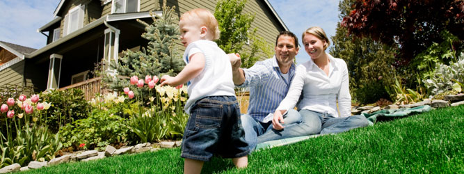 Make Your Property Pest-Free By Hiring Pest Controllers St Albans Services