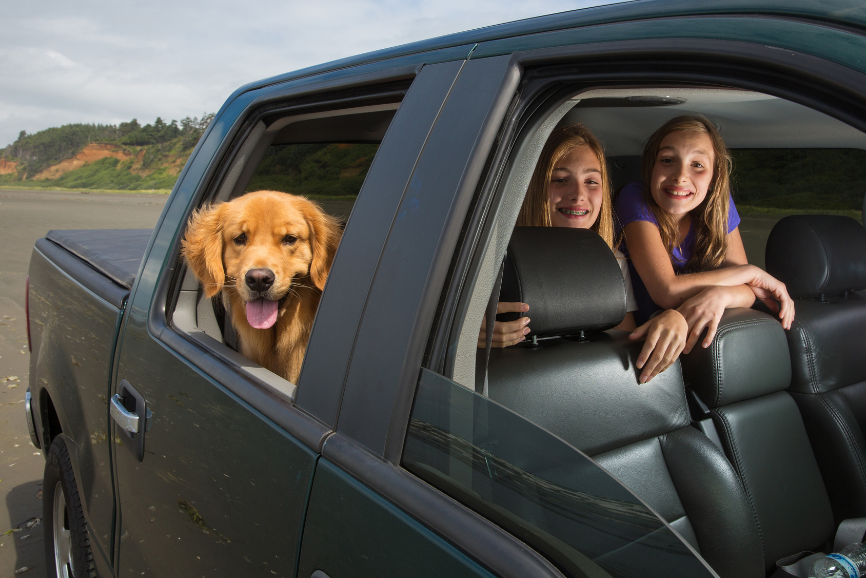 Perfect Tips For Safe &amp; Reliable Relocation Of Your Pet Transport