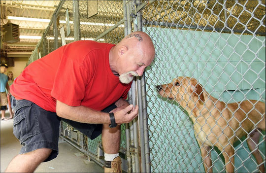 Why Senior Citizens Are Adopting Dogs In Droves!