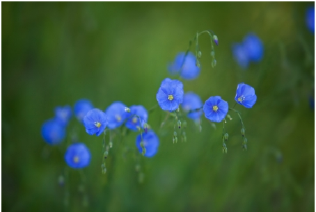 Colour Themed Gifts…