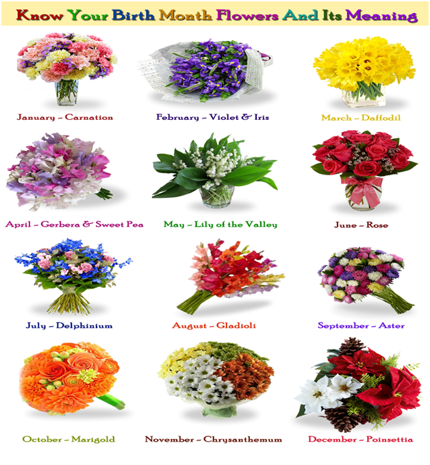 Know Your Birth Month Flowers And Its Meaning