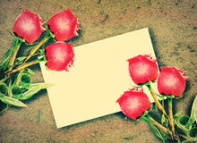 Colour Themed Gifts…