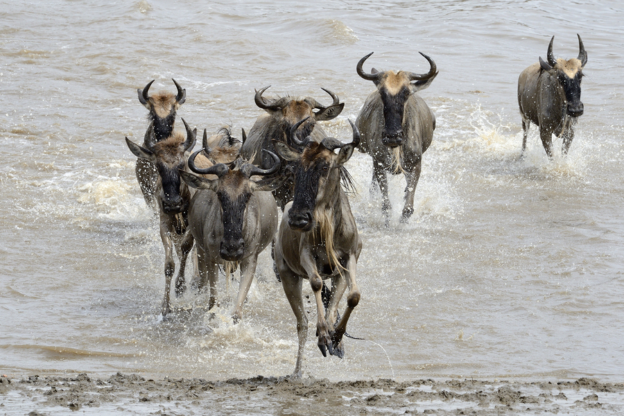 How Stress Affects Your Child's Learning Ability
