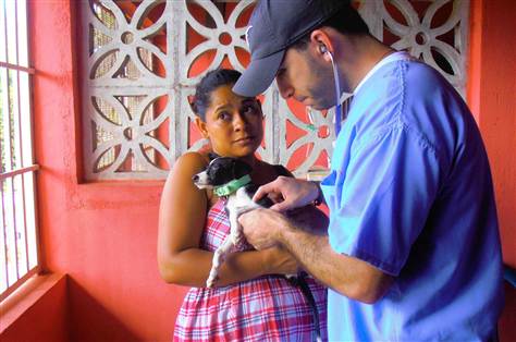 How To Save The World One Pet At A Time