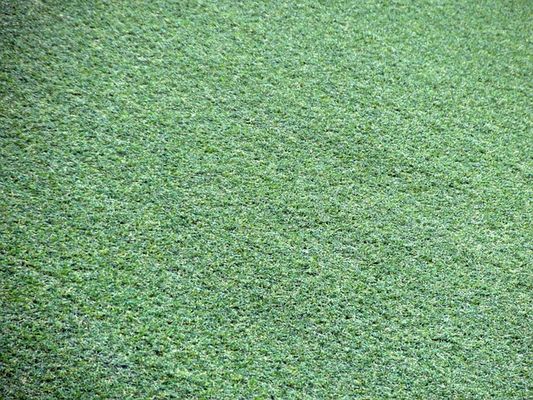 Artificial Lawns Are Safe - They Don't Cause Cancer