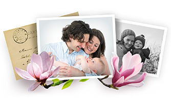 5 Key Features That Your Family Tree Chart Maker Should Have