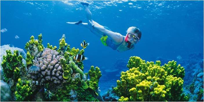 5 Things To Do In South India With Your Family