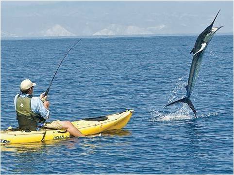 5 Things To Do In South India With Your Family