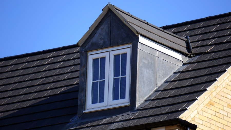 4 Issues That Arise From Mold On Your Roof