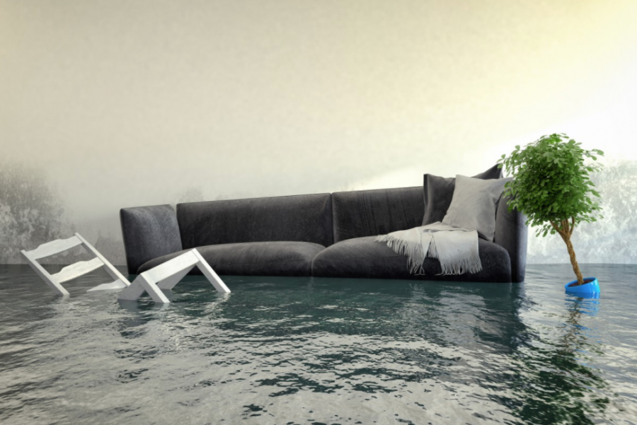 Moldy Carpets, Warped Walls, and Other Types Of Water Damage That Can Devastate Your Home