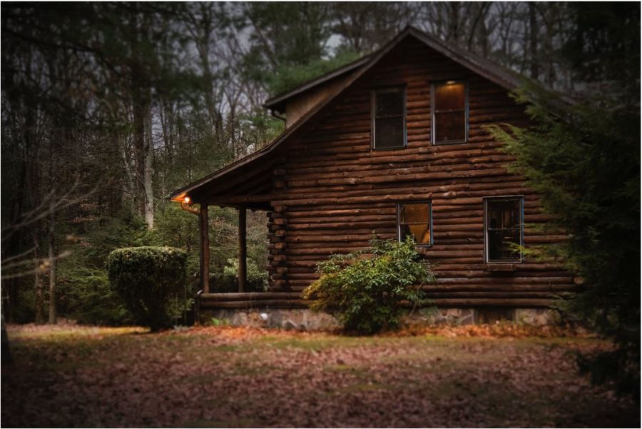 Cozy Cabin: Why Every Log Home Needs A Superior Roof